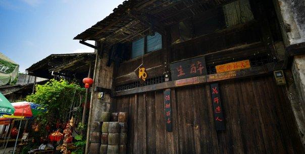 杀出重围人类分裂